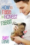 How to Raise An Honest Rabbit cover