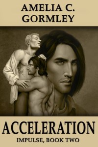 Acceleration book cover