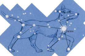 Canis Major Dog Star