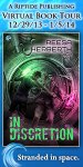 InDiscretion_150x300