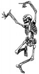 skeleton-clip-art-15-315x600
