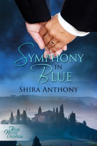Symphony in Blue-build (1) cover