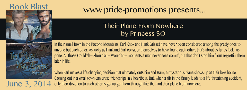 Plane from Nowhere Banner