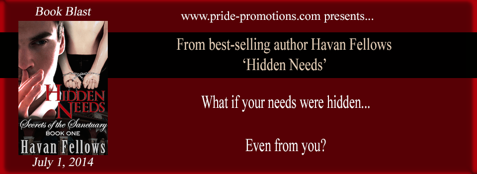 HiddenNeedsBanner2 copy