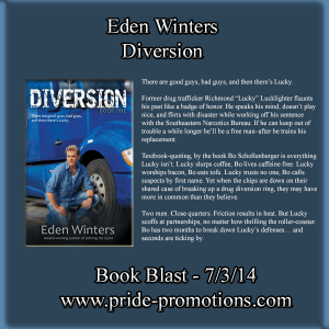 Diversion600x600GreyBanner