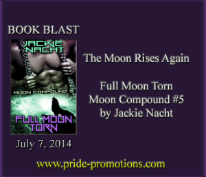 FMTBanner300x250NoMoon