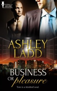 Business or Pleasure cover