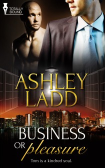 Business or Pleasure cover