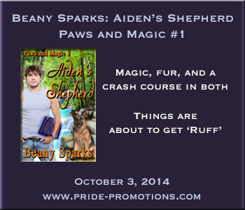 2FinalBeanyBanner300x250