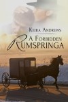 Forbidden Rumspringa cover