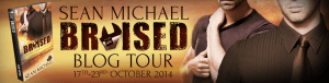 Bruised_SeanMichael_BlogTour_WebBanner_final