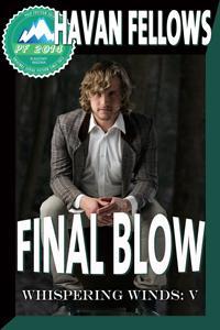 Final Blow cover