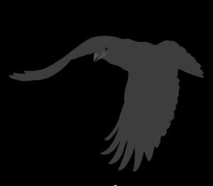 AF Henley_Avatar cropped