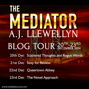 AJLlewellyn_TheMediator_BlogTour_BlogDates_final