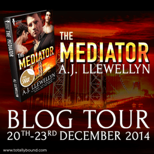 AJLlewellyn_TheMediator_BlogTour_SocialMedia_final