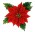 poinsetta clip art
