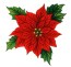 poinsetta clip art