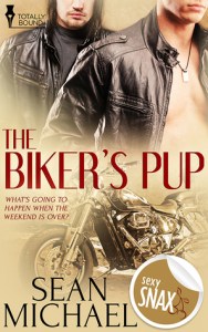 The Biker's Pup cover