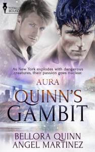 Quinn's Gambit cover