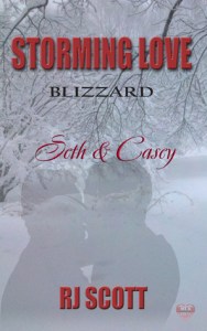 STorming Love- Blizzard cover