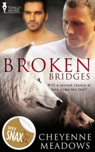 Broken Bridges cover
