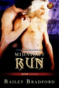 Midnight Run cover