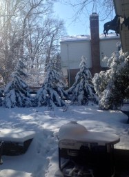 Snow Pic March 6 2015 2