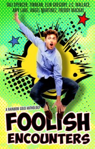 Foolish Encounters cover