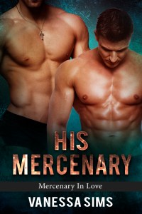 His Mercenary Cover