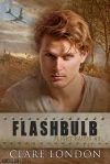 Flashbulb cover