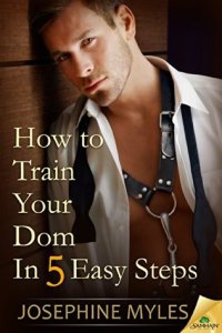 How To Train Your Dom cover