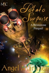 Potato Surprise cover