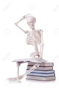 skeleton reading books