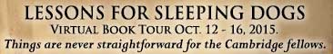 LessonsSleepingDogs_TourBanner