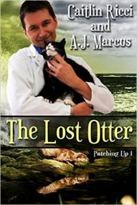 The Lost Otter cover