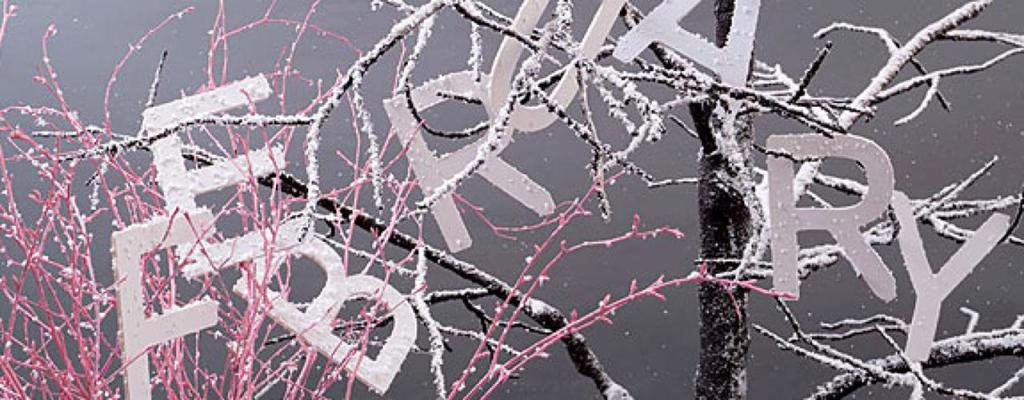 1139305-now-february-2009-panoramic