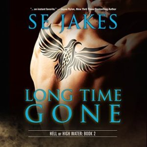 Long Time Gone audiobook