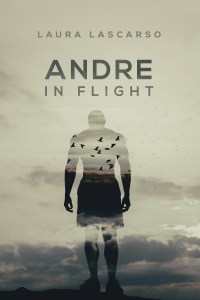 andreinflightfs_v1