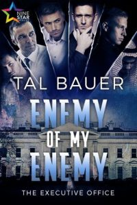 enemy-of-my-enemy-by-tal-bauer