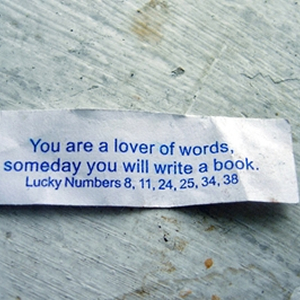 write-fortune-300