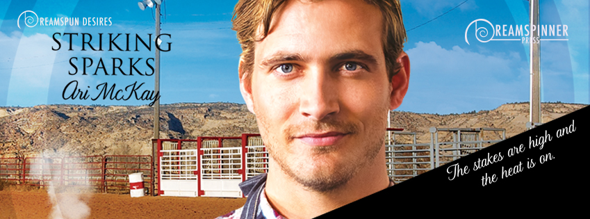 strikingsparks_fbbanner_dsp