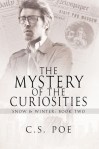 the-mystery-of-the-curiosities-by-c-s-poe